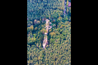 Drachenfels Castle in Busenberg in the state Rhineland-Palatinate, Germany out of the air