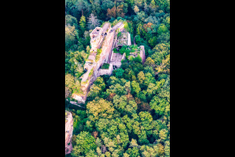 Drachenfels Castle in Busenberg in the state Rhineland-Palatinate, Germany seen from above