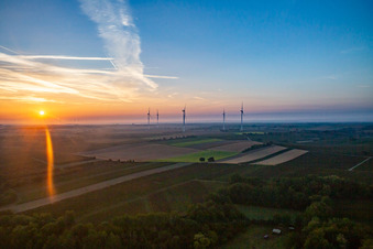 Freckenfeld in the state Rhineland-Palatinate, Germany from the drone perspective