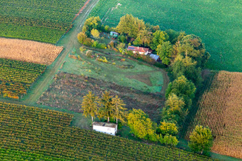 Dacha in the countryside in Oberotterbach in the state Rhineland-Palatinate, Germany