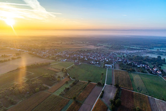 From the northwest at sunrise in the district Kleinsteinfeld in Steinfeld in the state Rhineland-Palatinate, Germany