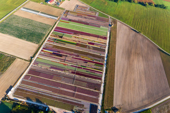 Colorful flowerbeds of Ferme Brandt Arbogast Morsbronn in Durrenbach in the state Bas-Rhin, France out of the air