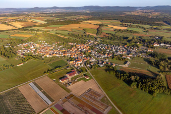 From the southeast in Durrenbach in the state Bas-Rhin, France