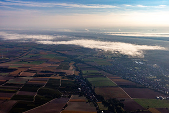 Drone image of District Schaidt in Wörth am Rhein in the state Rhineland-Palatinate, Germany