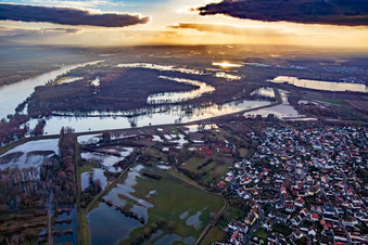 Due to flooding, the Goldgrund nature reserve in the Hagenbacher Altrheinschleife was flooded in the district Maximiliansau in Wörth am Rhein in the state Rhineland-Palatinate, Germany