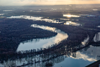 Aerial view of Due to flooding, the Goldgrund nature reserve in the Hagenbacher Altrheinschleife was flooded in the district Maximiliansau in Wörth am Rhein in the state Rhineland-Palatinate, Germany