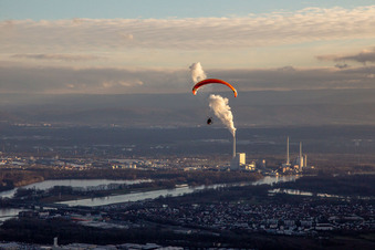 Paraglider over Maximiliansau in the district Maximiliansau in Wörth am Rhein in the state Rhineland-Palatinate, Germany