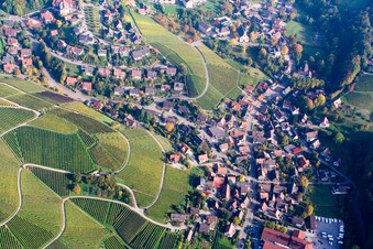 Panorama of the village and the surrounding area with vineyards in the district Büchelbach in Sasbachwalden in the state Baden-Wuerttemberg, Germany