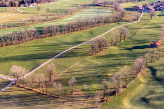 Orchard meadows in winter in the district Arzbach in Wackersberg in the state Bavaria, Germany