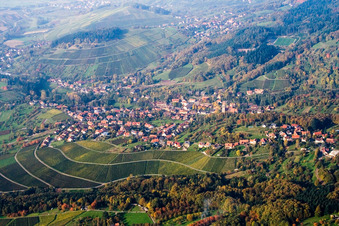 Village - view on the edge of wine yards in the district Neusatz in Buehl in the state Baden-Wurttemberg
