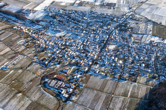In winter when there is snow in Oberotterbach in the state Rhineland-Palatinate, Germany