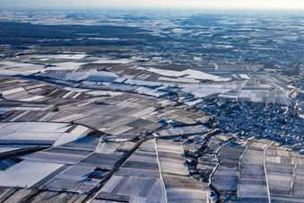 In winter with snow from the northwest in the district Rechtenbach in Schweigen-Rechtenbach in the state Rhineland-Palatinate, Germany
