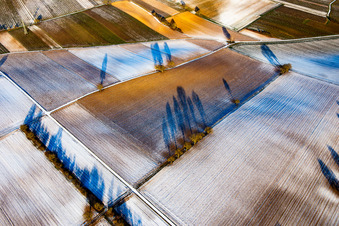 Field structures and shadows in winter with snow in Vollmersweiler in the state Rhineland-Palatinate, Germany