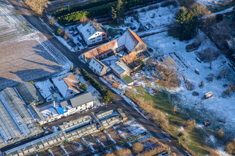Schmeißer cut greenery in Vollmersweiler in the state Rhineland-Palatinate, Germany
