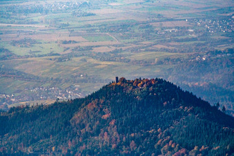 YBURG from the east in the district Neuweier in Baden-Baden in the state Baden-Wuerttemberg, Germany