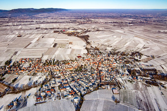 Aerial view of From the south in winter in the snow in Göcklingen in the state Rhineland-Palatinate, Germany