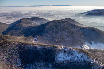 Aerial photograpy of Neuscharfeneck castle ruins from the north in winter with snow in Flemlingen in the state Rhineland-Palatinate, Germany