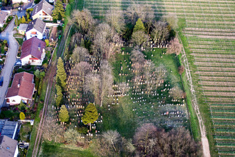 Old cemetery in the district Ingenheim in Billigheim-Ingenheim in the state Rhineland-Palatinate, Germany