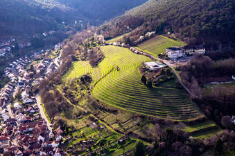 Aerial view of Arens Hotel 327m above sea level in the district SaintMartin in Sankt Martin in the state Rhineland-Palatinate, Germany