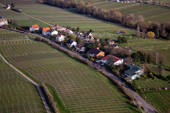 Settlement on Klosterstr in Edenkoben in the state Rhineland-Palatinate, Germany