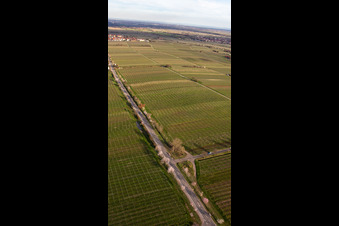Almond Mile and Wine Trail on Villastr in Edenkoben in the state Rhineland-Palatinate, Germany