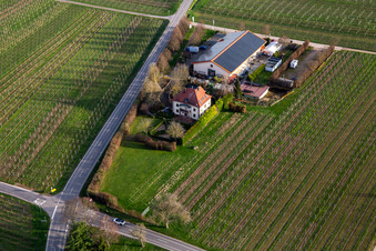 Aerial photograpy of Villa Hochdörffer - Winery & Guesthouse in the district Nußdorf in Landau in der Pfalz in the state Rhineland-Palatinate, Germany