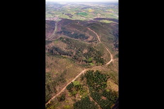 New construction of the 51 km section of the Trans-Europe Natural Gas Pipeline (TENP-I between the Netherlands and Switzerland) between Mittelbrunn and Klingenmünster in Klingenmünster in the state Rhineland-Palatinate, Germany
