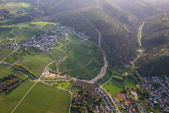 Corridor through the Palatinate Forest for the reconstruction of the 51 km section of the Trans-Europe Natural Gas Pipeline (TENP-III from the Netherlands to Switzerland) between Mittelbrunn and Klingenmünster in the district Gleiszellen in Gleiszellen-Gleishorbach in the state Rhineland-Palatinate, Germany