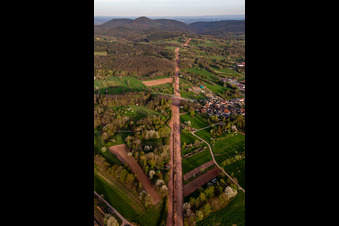 Oblique view of Corridor through the Palatinate Forest for the reconstruction of the 51 km section of the Trans-Europe Natural Gas Pipeline (TENP-III from the Netherlands to Switzerland) between Mittelbrunn and Klingenmünster in the district Gossersweiler in Gossersweiler-Stein in the state Rhineland-Palatinate, Germany