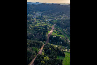 Aerial view of Corridor through the Palatinate Forest for the reconstruction of the 51 km section of the Trans-Europe Natural Gas Pipeline (TENP-III from the Netherlands to Switzerland) between Mittelbrunn and Klingenmünster in Schwanheim in the state Rhineland-Palatinate, Germany
