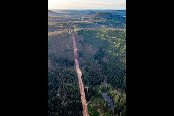 Corridor through the Palatinate Forest for the reconstruction of the 51 km section of the Trans-Europe Natural Gas Pipeline (TENP-III from the Netherlands to Switzerland) between Mittelbrunn and Klingenmünster in Wilgartswiesen in the state Rhineland-Palatinate, Germany