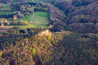 Haselstein in Oberschlettenbach in the state Rhineland-Palatinate, Germany