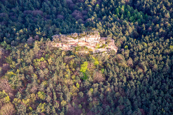 Aerial view of Haselstein in Oberschlettenbach in the state Rhineland-Palatinate, Germany