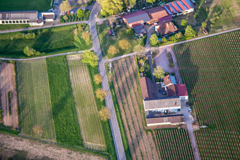Aerial view of Knauf's Wine Bar in Göcklingen in the state Rhineland-Palatinate, Germany