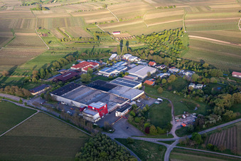Klein Kalmit winery in Ilbesheim bei Landau in the state Rhineland-Palatinate, Germany