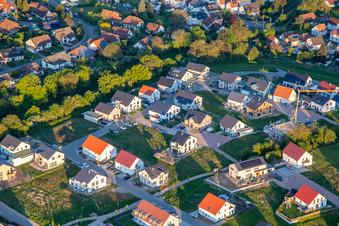 Rose and Tulip Trail in Kandel in the state Rhineland-Palatinate, Germany