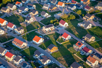 Rose and Lavender Trail in Kandel in the state Rhineland-Palatinate, Germany