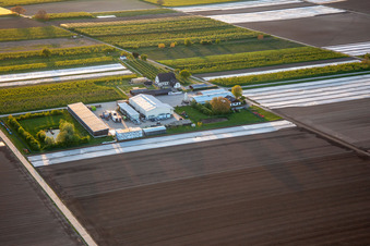 Farmer's Garden in Winden in the state Rhineland-Palatinate, Germany from the plane