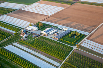 Drone recording of Farmer's Garden in Winden in the state Rhineland-Palatinate, Germany