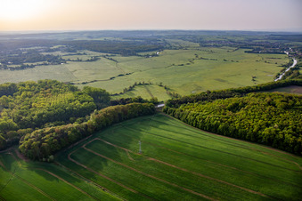 Meadows at Mittlachgraben in the morning in Harskirchen in the state Bas-Rhin, France