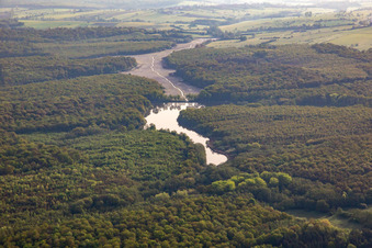 Common pond in the forest in Fénétrange in the state Moselle, France