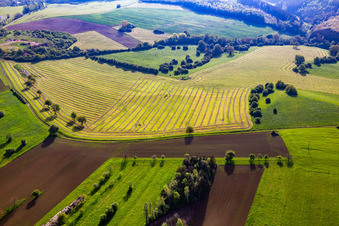 Aerial view of Freshly mown meadows with hay rows in Petit-Réderching in the state Moselle, France