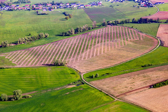 Field cultivation patterns in Bettviller in the state Moselle, France