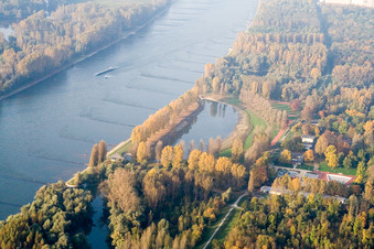 Rhine beach in the district Daxlanden in Karlsruhe in the state Baden-Wuerttemberg, Germany