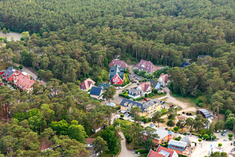 Dune forest house, beach house dune house in Trassenheide in the state Mecklenburg-Western Pomerania, Germany