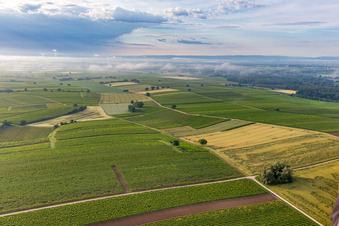 Low clouds over the fields from winds in the district Ingenheim in Billigheim-Ingenheim in the state Rhineland-Palatinate, Germany