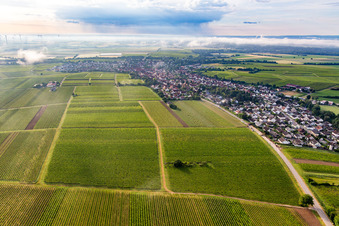 Aerial photograpy of From the northwest in Insheim in the state Rhineland-Palatinate, Germany