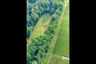 Palatina Archers' Club Grounds in Insheim in the state Rhineland-Palatinate, Germany