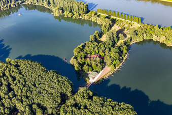 Pappelallee and restaurant on Rott Island on the Rhine in Linkenheim-Hochstetten in the state Baden-Wuerttemberg, Germany