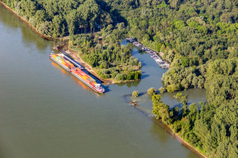 Marina on the Leimersheimer Altrhein in Leimersheim in the state Rhineland-Palatinate, Germany